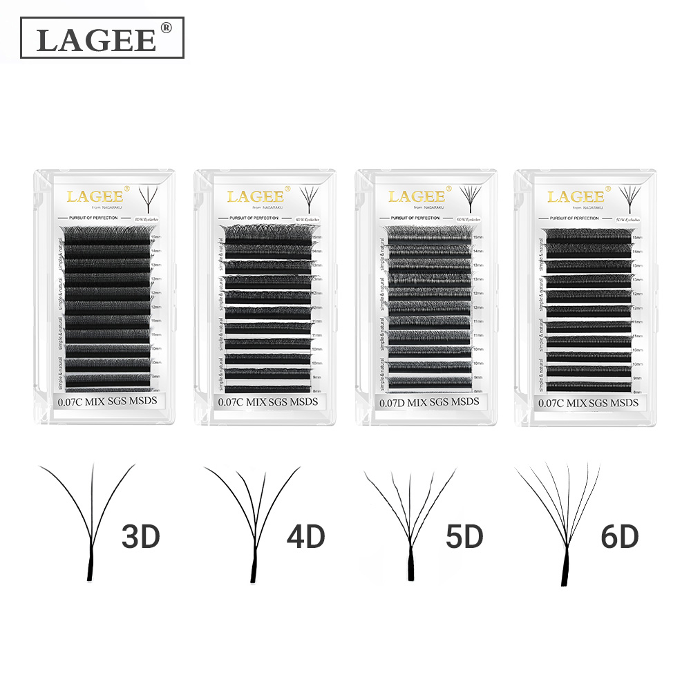 LAGEE 3D 4D 5D 6D W Shape Eyel – обзор и цена Eyelash Extension Course