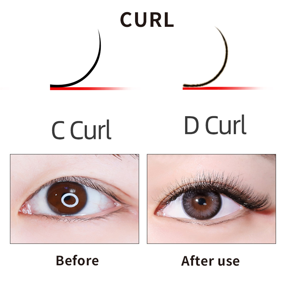 LAGEE 3D 4D 5D 6D W Shape Eyel – обзор и цена Eyelash Extension Course